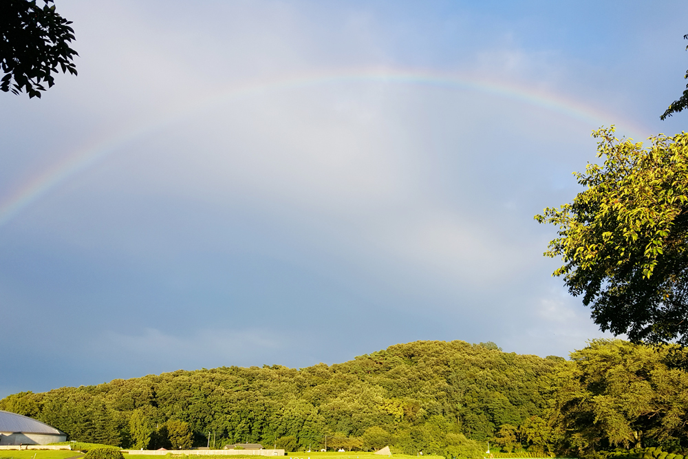 鹿の川沼の虹